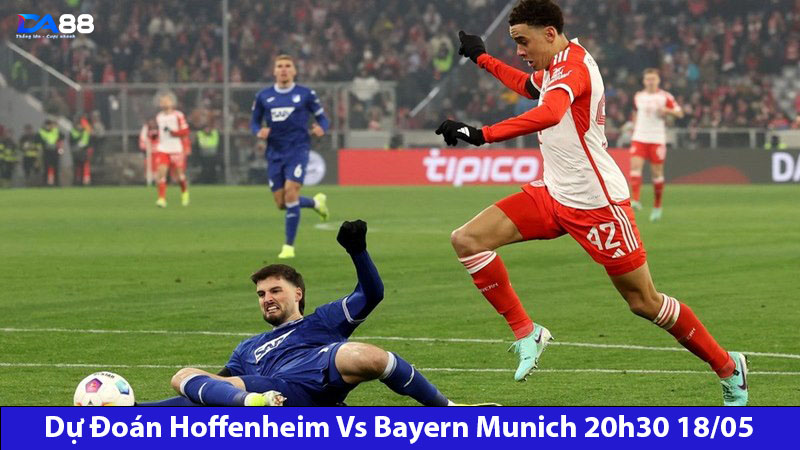 Dự Đoán Hoffenheim vs Bayern Munich 20h30 18/05