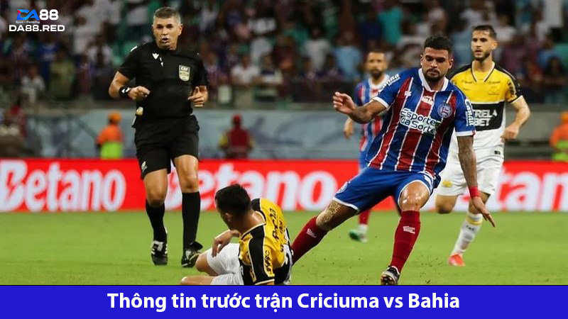 Criciuma vs Bahia đang đi đấu ổn định 