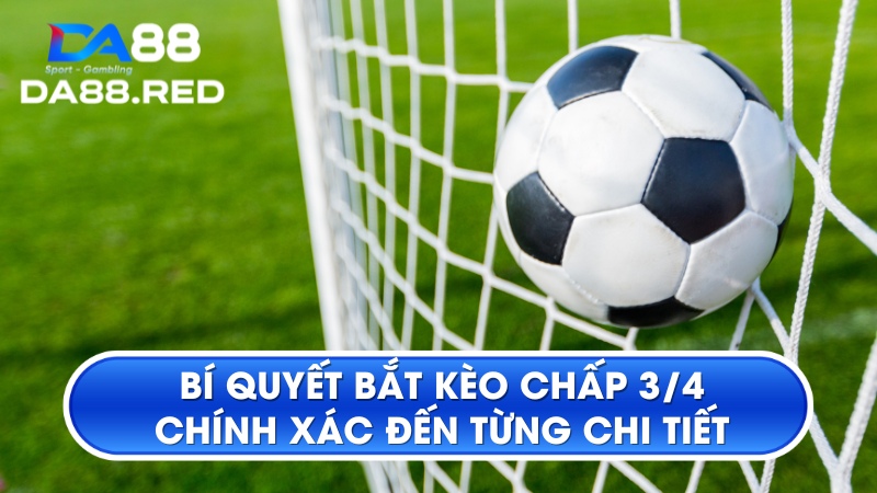 Bí Quyết Bắt Kèo Chấp 3/4 Chính Xác Đến Từng Chi Tiết